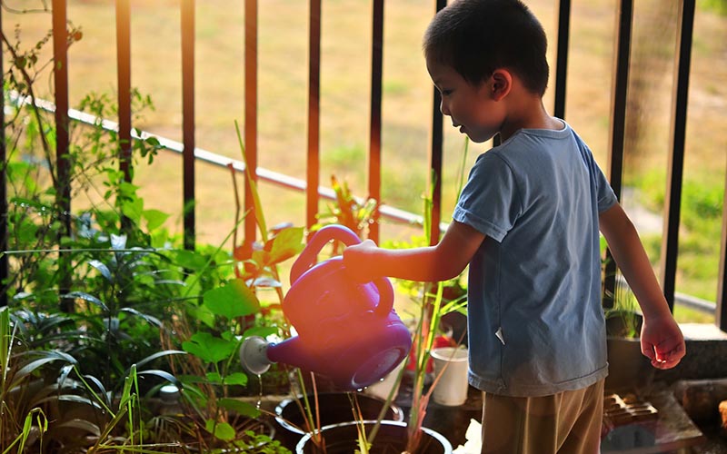 The Wholesome Guide to HDB Gardening in Singapore