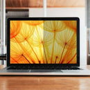 3M Bright Screen Privacy Filter for 14in Full Screen Laptop, 318mm x 182mm, 16:9, BP140W9E