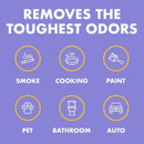 Natural Magic Gonzo Odor Air Magnet Max-Lavender (with essential oil) 14Oz