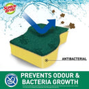 3M Scotchbrite 213X2+520U2 Anti Bacterial Scrub Sponge