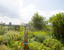 GARDENA Terrace Spiral Hose 7.5 m