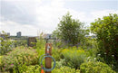 GARDENA Terrace Spiral Hose 7.5 m