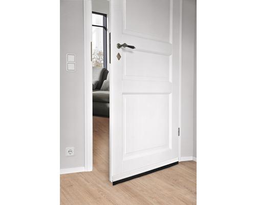 Fix-O-Moll Door Mounted Weather Strip with Brush - Clear