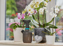 Gardena Pump Sprayer 1L