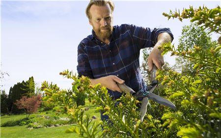Gardena Hedge Clippers Naturecut