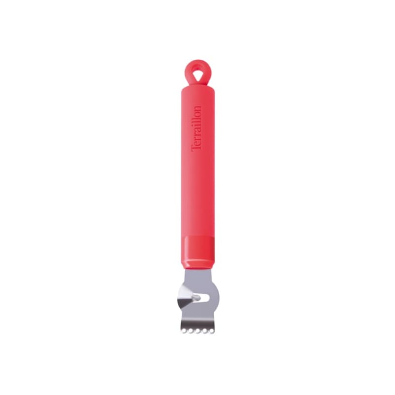 Terraillon Zester